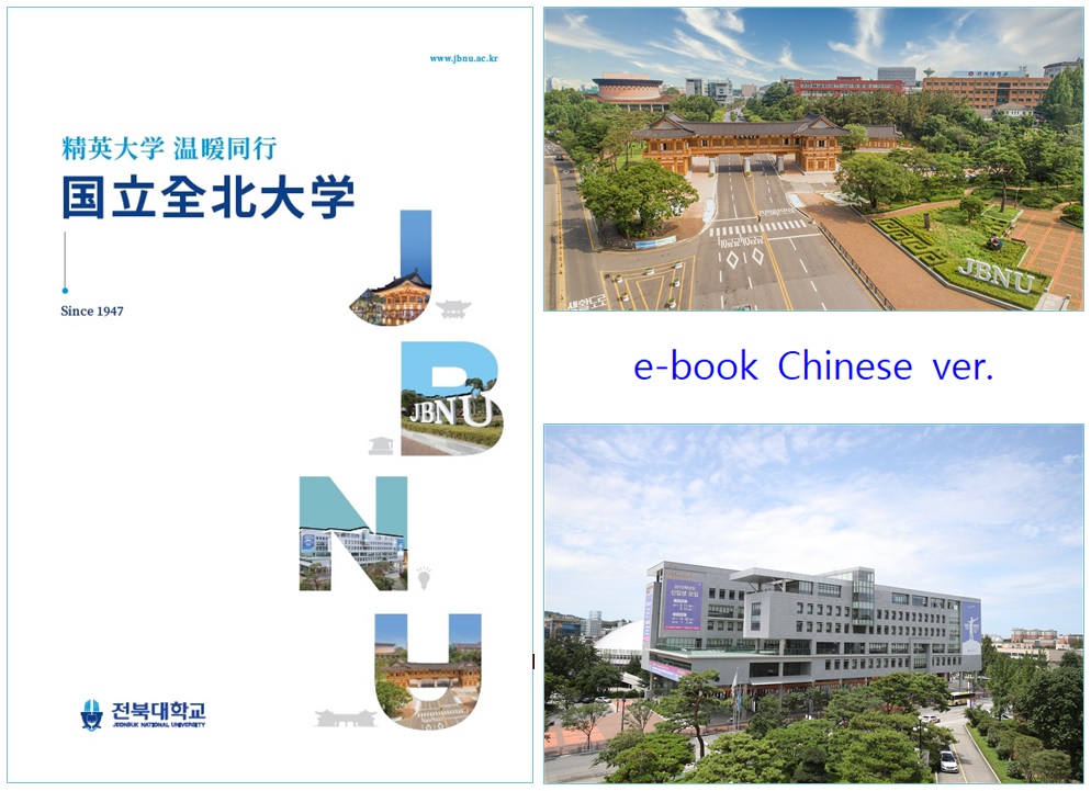 e-book(china ver.)
